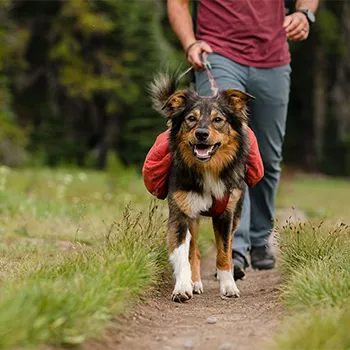 Ruffwear kutyafelszerelés