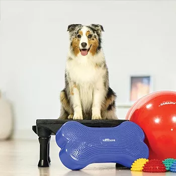 FitPAWS kutyatréning eszközök