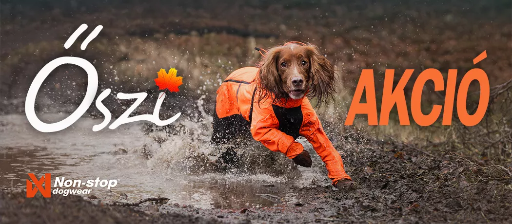 Dog Gear