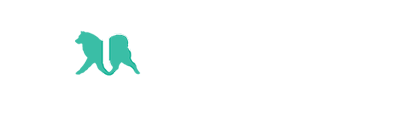 Dog Gear – aktív kutyások webáruháza                        