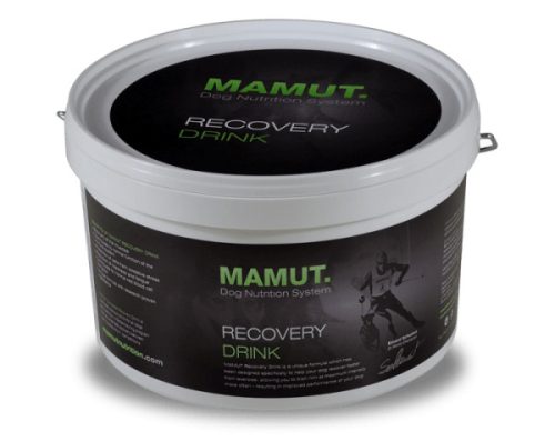 MAMUT Recovery Drink