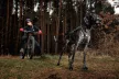 Non-stop Freemotion PRO hám