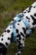 Non-stop Trekking line CLIP'N™ hám