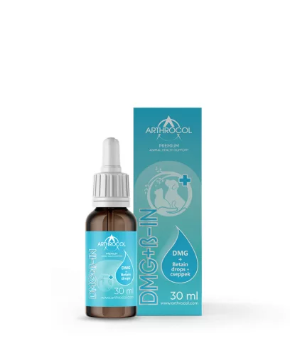 Arthrocol DMG + Betaine Immunerősítő Cseppek