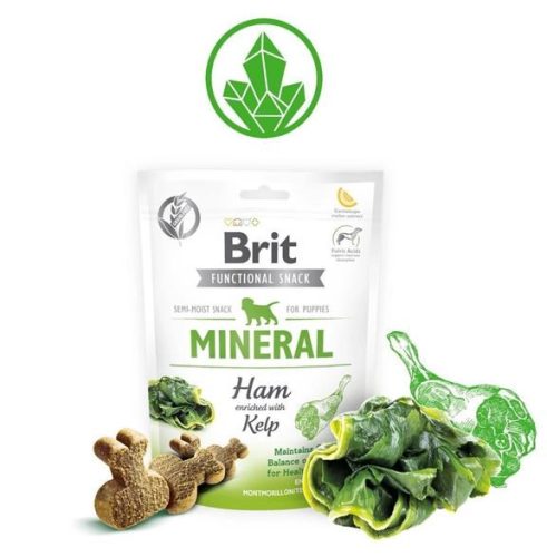 Brit Care Functional Snack DENTAL - a fogkő ellen