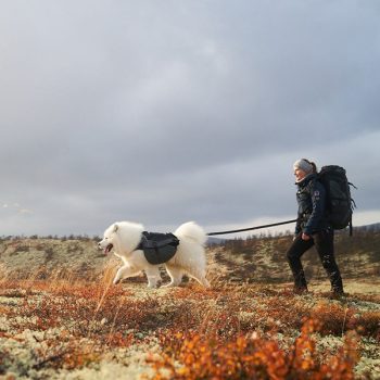 Túrázás kutyával