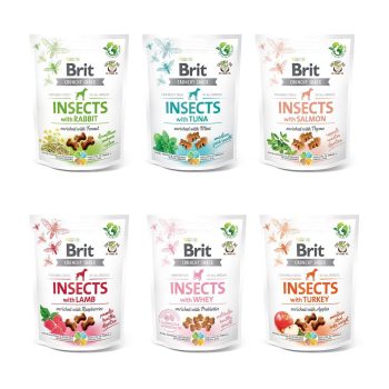 Insect Crunchy Cracker