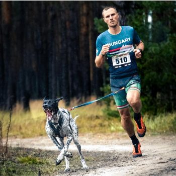 Kutyás futás, Canicross