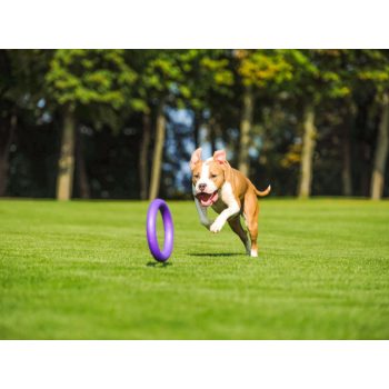 Karika, puller, frizbi