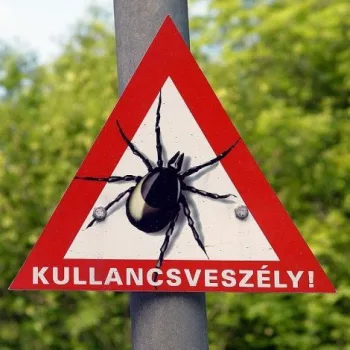 Élősködők elleni készítmények