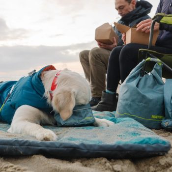 Kutyás kiegészítők