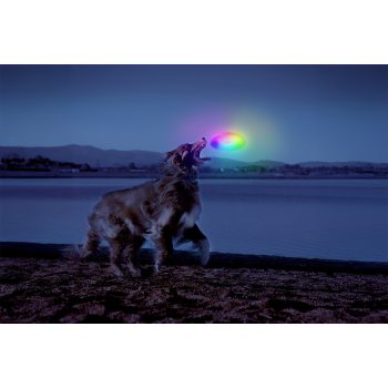 Világító játékok