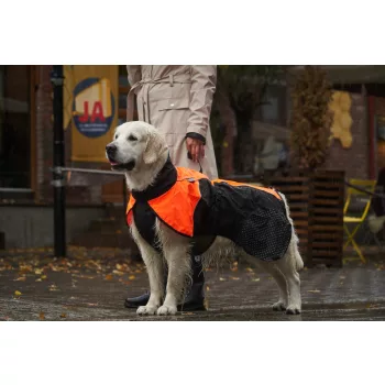 Eső és szélkabát kutyáknak