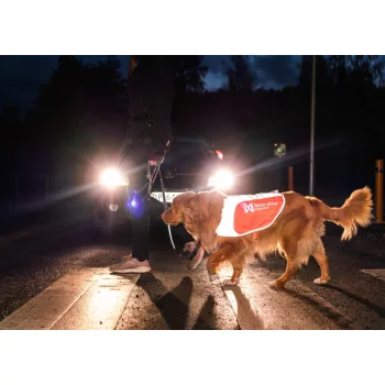 Láthatósági ruházat kutyáknak