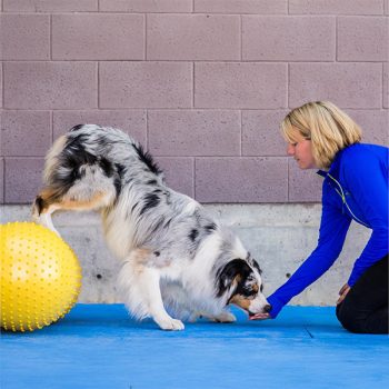 Fizioterápiás eszközök