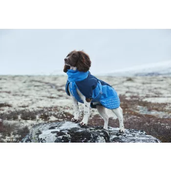 Téli kabát kutyáknak