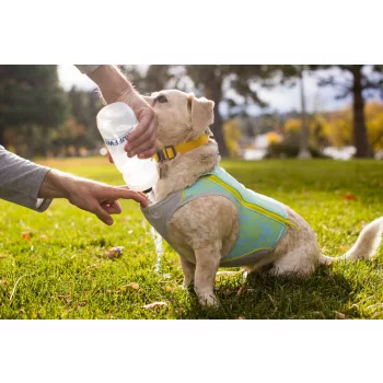 Hűtőmellény kutyáknak