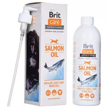 Táplálék kiegészítők és vitaminok kutyáknak