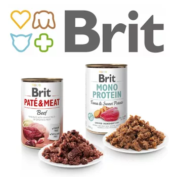 Konzervek, kutyaszalámik