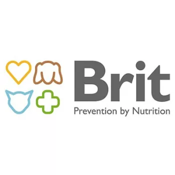 Brit