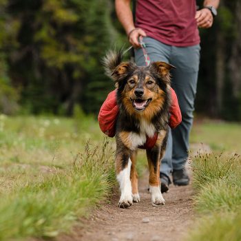 Hátizsák túrákhoz