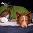 Dryup Bamboo Standard szárítókabát közepes és nagyobb kutyák számára