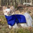 Dryup Nano szárítókabát a legkisebb kutyák számára