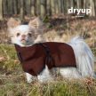 Dryup Nano szárítókabát a legkisebb kutyák számára