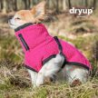 Dryup Nano szárítókabát a legkisebb kutyák számára