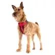 EzyDog Chest Plate hám