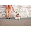 EzyDog Soft Trainer póráz