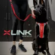 EzyDog X-link hám
