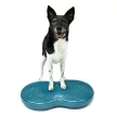 FitPAWS Duo Disc egyensúly párna