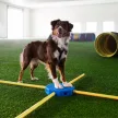 FitPAWS FitKinect Core moduláris edzőrendszer