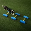 FitPAWS FitKinect Core moduláris edzőrendszer