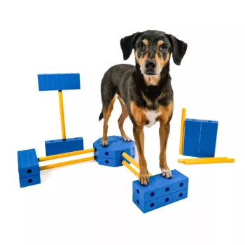 FitPAWS FitKinect Xtra