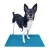 FitPAWS K9 FitMat