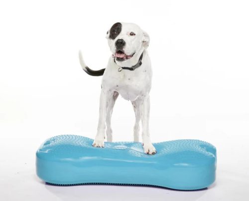 FitPAWS K9FITbone GIANT