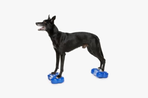 FitPAWS K9FITbone Mini szet 
