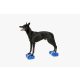 FitPAWS K9FITbone Mini szet 