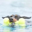 KONG Airdog Squeaker Bone L - csont alakú sípolós játék