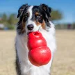 KONG Bounzer Large - nagyméretű apportjáték
