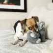 KONG Comfort Kiddos Elephant XL - elefánt plüssjáték