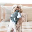 KONG Comfort Kiddos Pig - malac plüssjáték