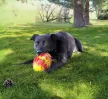 KONG Flexball Sports Football