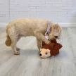 KONG Layerz Forage Hedgehog - tölthető süni plüssjáték