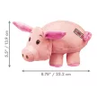 KONG Phatz Pig M