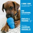 KONG Puppy M