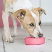 KONG Puppy Tyre M/L abroncs formájú rágójáték