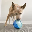 KONG Rewards Ball - jutalmazó labda